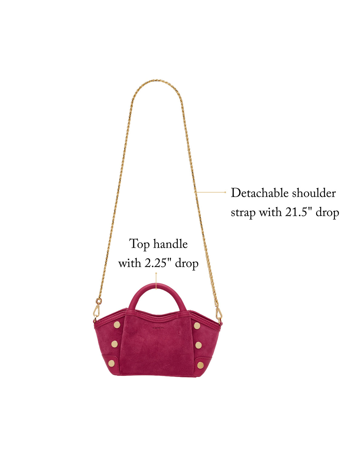 Paul Crossbody Small - Leather Crossbody | Hammitt Great Value