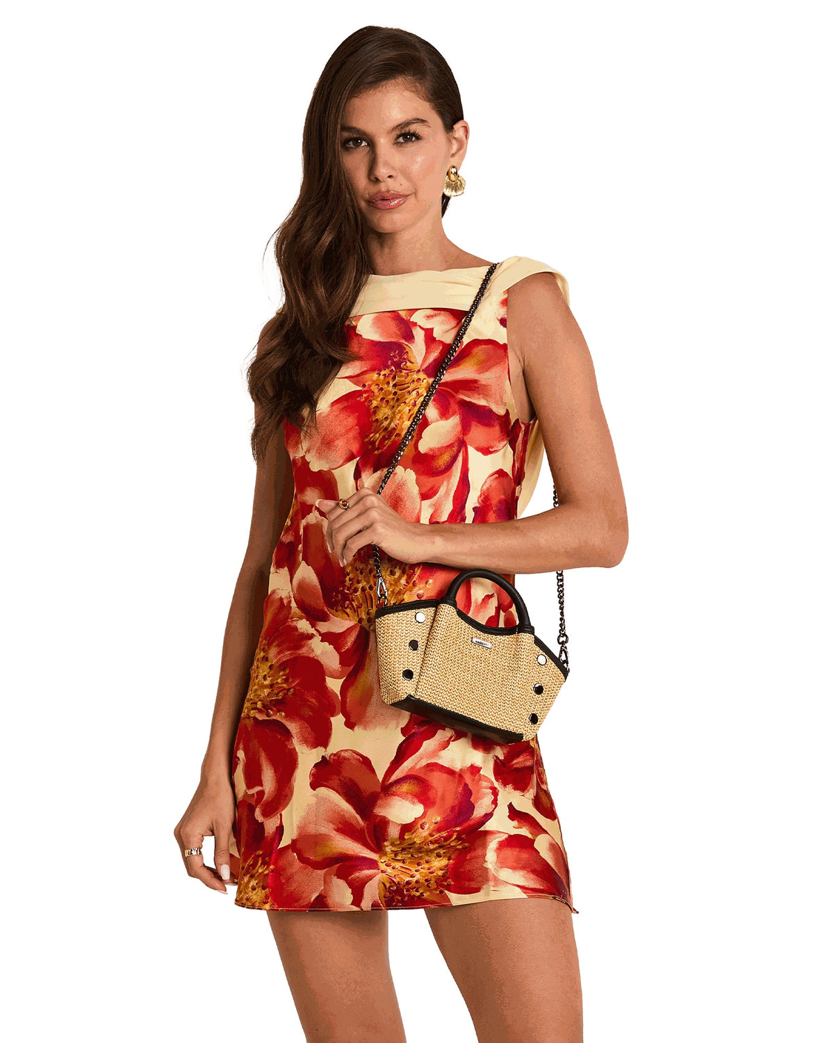 Paul Crossbody Small - Raffia Crossbody Bag | Hammitt Recommended