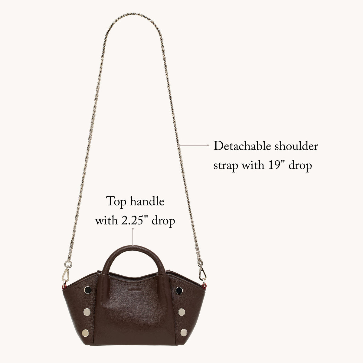 Paul Crossbody Small - Mini Bag | Hammitt Everyday